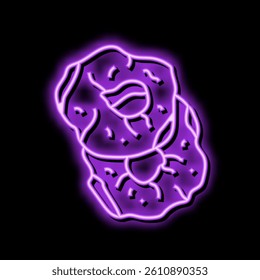 dry apple fruit neon light sign vector. dry apple fruit illustration