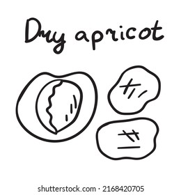 Dry apricot. Vector outline icon design on white background