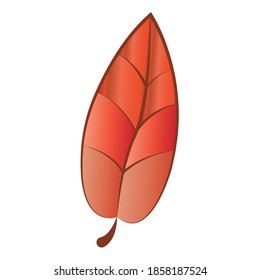 Dry autumn leaf. Autumn season - Vector illustration