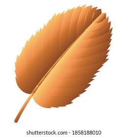 Dry autumn leaf. Autumn season - Vector illustration