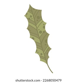 Dry autumn leave of oak, ash and birch trees of different colors. Top view of fall tree leaf. Gold, red, brown and green autumnal foliage set. Flat vector illustration isolated on white background.