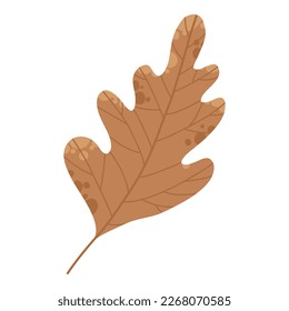 Dry autumn leave of oak, ash and birch trees of different colors. Top view of fall tree leaf. Gold, red, brown and green autumnal foliage set. Flat vector illustration isolated on white background.