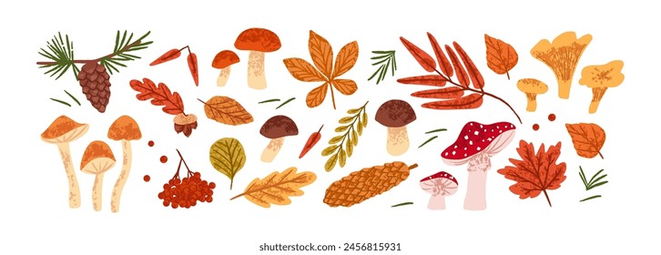 Dry autumn leaves and mushrooms set. Fall foliage of different trees: rowan, maple, oak. October forest nature: fir cone, fungus, acorn, berries. Flat isolated vector illustration on white background