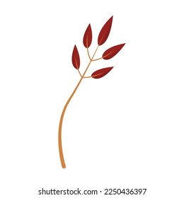Dry autumn leaves and plant illustration. Autumn bouquet element, dry leaves and flowers, tree branches on white background. Autumn, botany, decoration concept