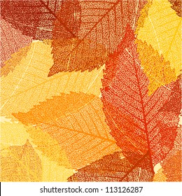 Dry autumn leaves template. EPS 8 vector file included