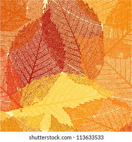 Dry autumn leaves template. EPS 8 vector file included