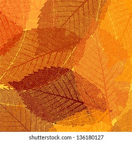 Dry autumn leaves template. EPS 8 vector file included