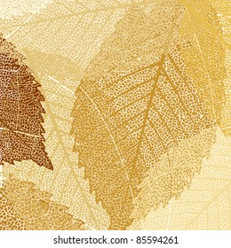 Dry autumn leaves template. EPS 8 vector file included