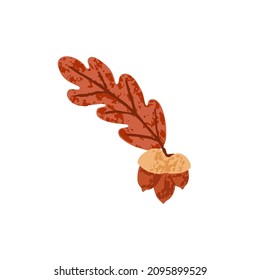 Dry autumn oak tree leaf with acorn nuts. Fall foliage leaves in September. Brown October leafage. Modern botanical flat vector illustration of plant isolated on white background