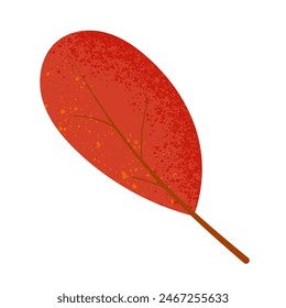 Dry autumn red leaf with grain texture. Flat vector illustration isolated on white background