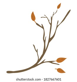 Dry autumn season  elegant brown branch with red leaves