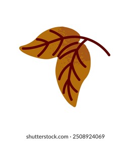 Dry autumnal leaves of birch icon. Autumn tree foliage in hand drawn style. Symbol of fall nature of forest, woodland. Botanical decoration. Flat isolated vector illustration on white background