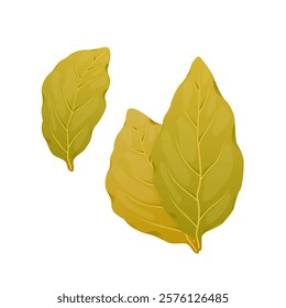 Dry bay leaf in flat design. Culinary spice, scented laurel foliage. Vector illustration isolated.