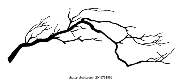 Dry branch. Black vector silhouette of old dry branch fallen from tree isolated on white background.