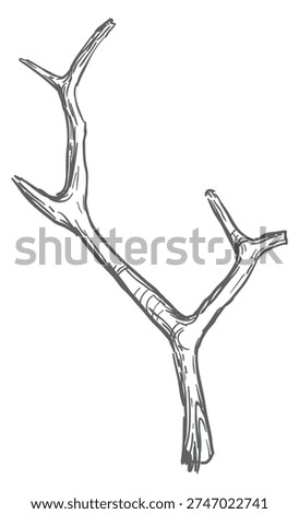 Dry branch drawing. Broken wooden stick engraving