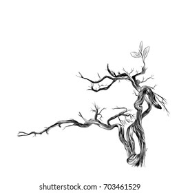 dry branch sketch vector graphics monochrome black-and-white drawing