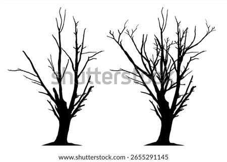 Dry Branch Tree Silhouette Vector. Black vector silhouette of two large dry trees with many long, thin, bare branches. Perfect for forest, nature, winter, or wilderness design elements. 