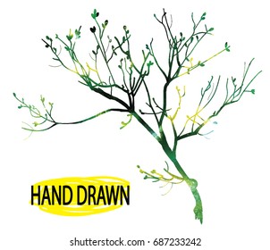 Dry branch. Tree branch without leaves. Drawing by hand in vintage style, drawing pen.