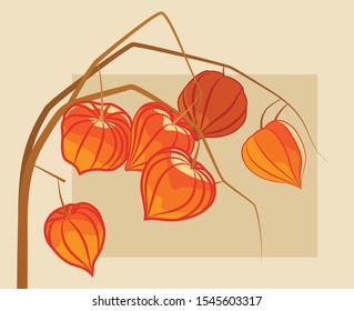 Dry branches of physalis. Dry orange buds. Home decoration. A beautiful and edible plant. Autumn mood.