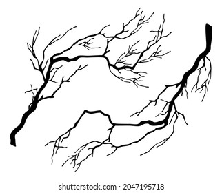 Dry branches. A set of two black silhouettes of old branches. Vector illustration isolated on white background.