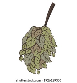Dry broom for a bath on a white background. Vector illustration