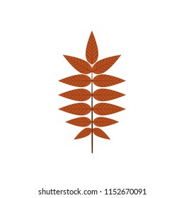 Dry Brown Autumn Leaves Illustration Graphic Design