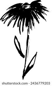 Dry Bruch Grunge Chamomile Silhouette