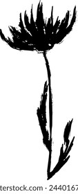 Dry Bruch Grunge Chamomile Silhouette