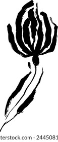 Dry Bruch Grunge Poppy Flower Silhouette