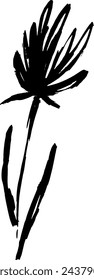 Dry Brush Milk Thistle Flower Silhouette