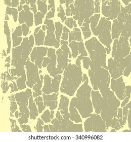 Dry cracked earth texture, vector background 