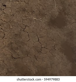 Dry cracked earth texture. Vector background