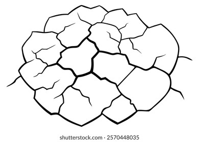 Dry cracked ground Surface crack sharp soil Broken glass effect Structure of cracks, Breaks land texture earthquake scratches isolated black and white vector silhouette 
