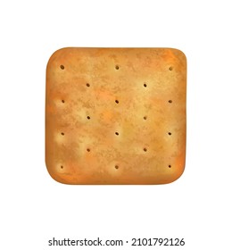 Dry Cracker Cookie On White Background Realistic Vector Illustration