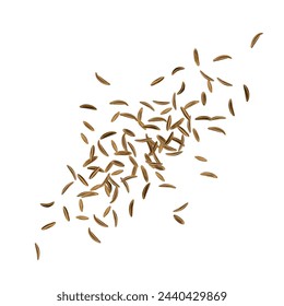 Dry Cumin Seed Icon, Cummin Heap, Caraway Seeds Symbol, Indian Spices Pile, Fennel Kernels, Cumin Icons on White Background, Vector Illustration