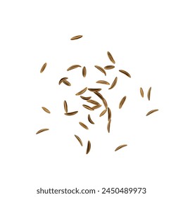 Dry Cumin Seed Icon, Cummin Heap, Caraway Seeds Symbol, Indian Spices Pile, Fennel Kernels, Cumin Icons on White Background, Vector Illustration