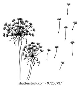 Dry dandelion flowers - vector illustration