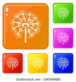 Dry dandelion icons set collection vector 6 color isolated on white background
