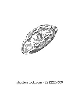 Dry date fruit hand drawn engraving vector illustration isolated on white background. Dates fruit as healthy sweeteners and superfood snack symbol or icon.