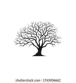 Dry Dead Oak Maple Banyan Cedar Tree Silhouette illustration logo design 
