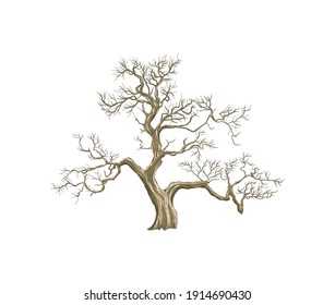 dry and dead old tree logo hand drawn vector illustrations