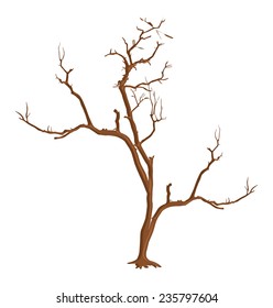Dry Dead Tree Shape Vector