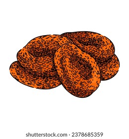 dry dried fruit hand drawn. food snack, healthy natural, organic nutrition dry dried fruit vector sketch. isolated color illustration