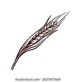 Dry ear of grains line icon. Outline hand drawn sketch of one ear with seeds, leaves and spikes, natural ripe plant of agricultural field. Farm, bakery, brewery mascot, icon vector illustration