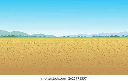 Dry Farmer Field Background Vector, landscape background illustration, after crop farmer field background vector