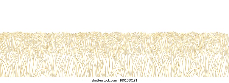 Dry field. Yellow thick grass meadow. Orange lawn. Hand drawn sketch. Horizontal banner background. Vector contour line. Copy space.