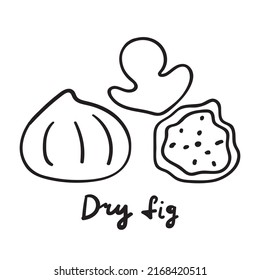 Dry fig. Outline icon on white background.