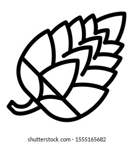 Dry fir cone icon. Outline dry fir cone vector icon for web design isolated on white background