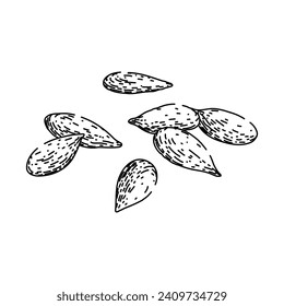 dry flax hand drawn. flower flaxseed, field vector, fabric nature dry flax vector sketch. isolated black illustration