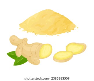 Dry ginger powder heap, ginger root whole and sliced. isolated on white. Vector cartoon flat illustration spicy spice seasoning. 